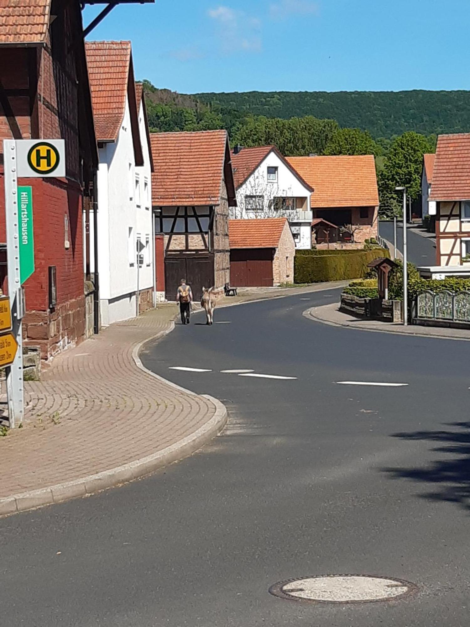 Ferienwohnung, 30 Qm Friedewald  エクステリア 写真