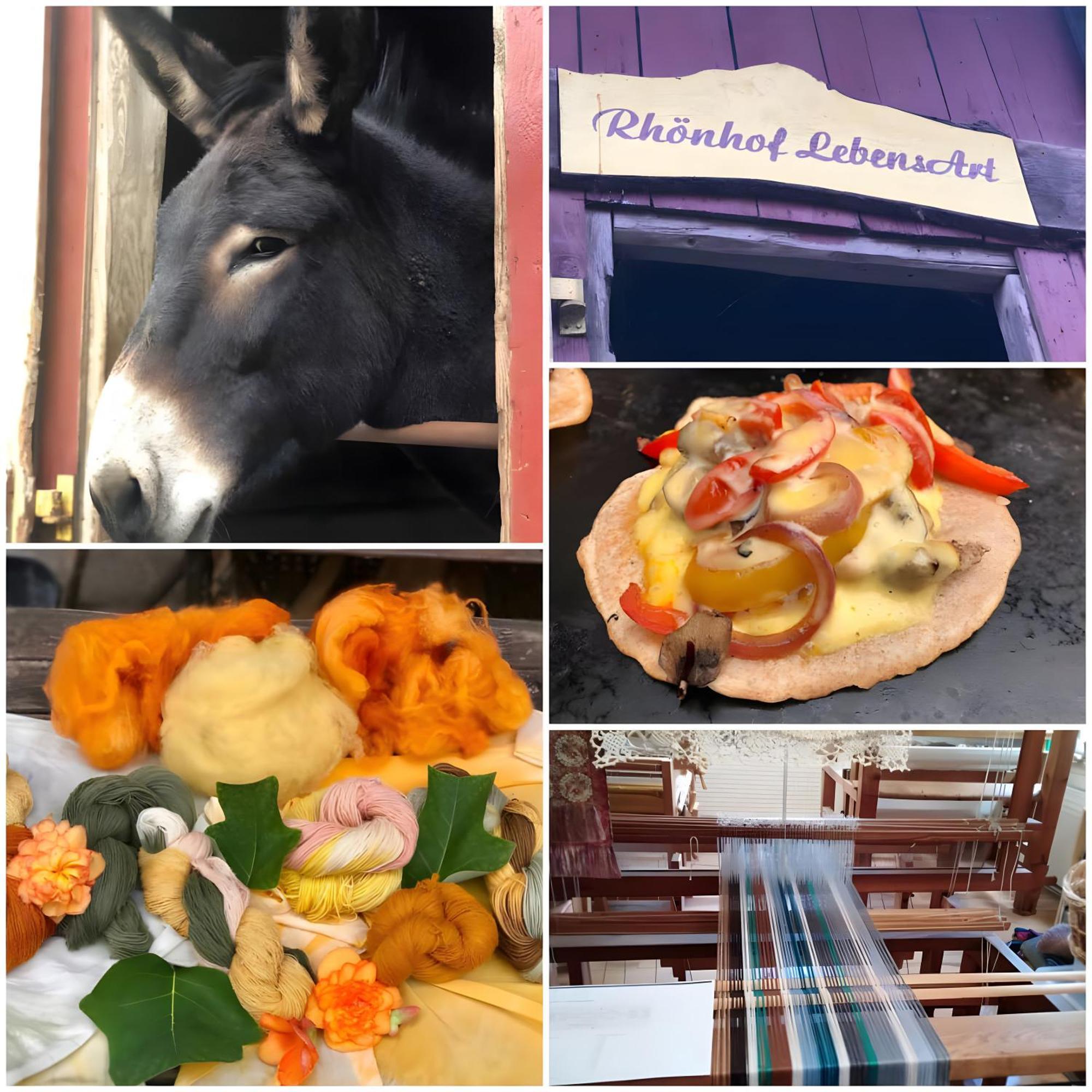 Ferienwohnung, 30 Qm Friedewald  エクステリア 写真